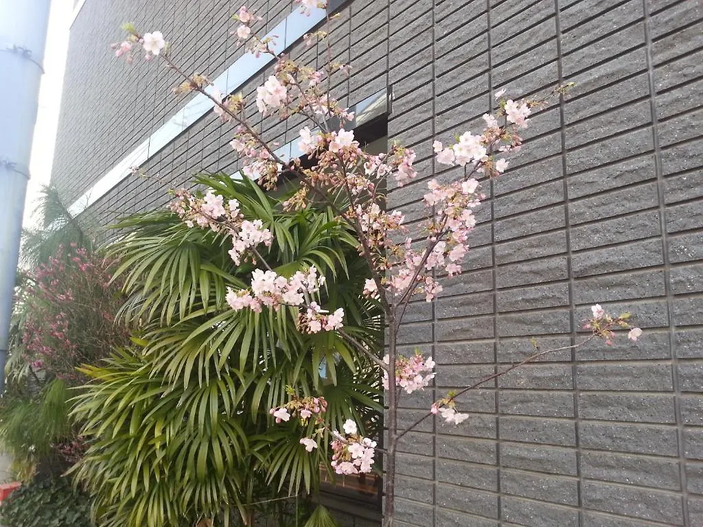 東京都 安尼可思胜太郎日式旅馆酒店 传统日式旅馆